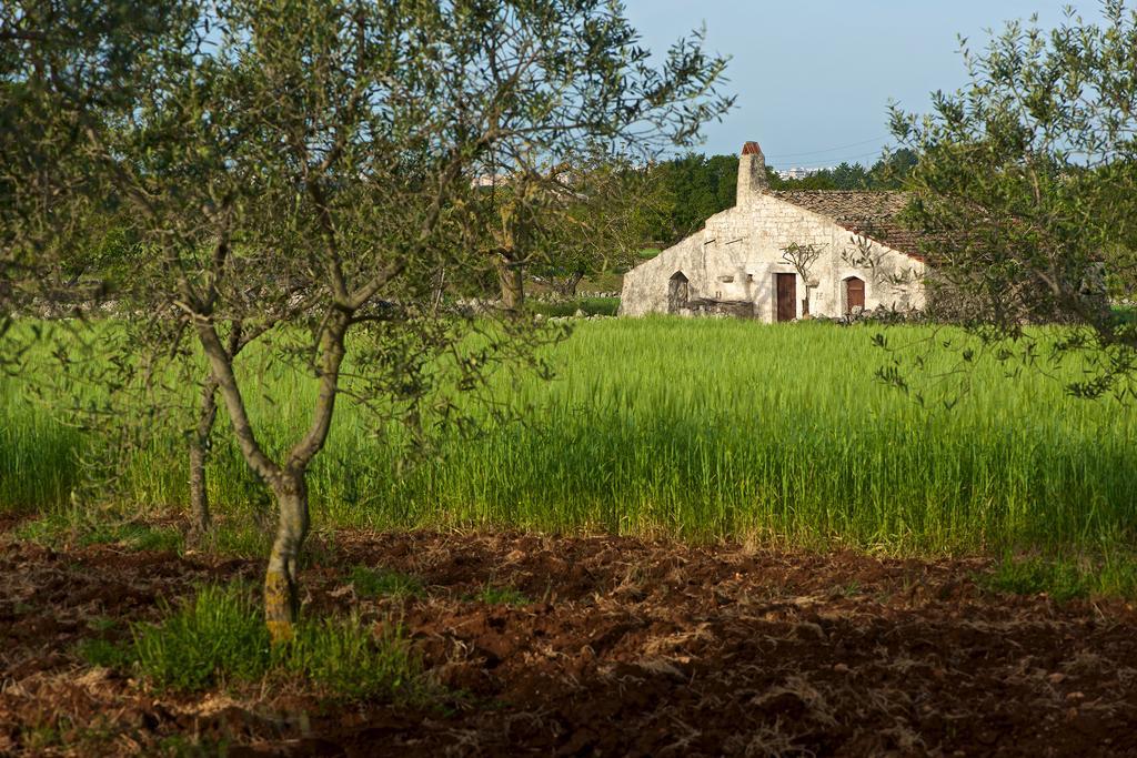 Masseria Ciavea Gioia Del Colle Zewnętrze zdjęcie