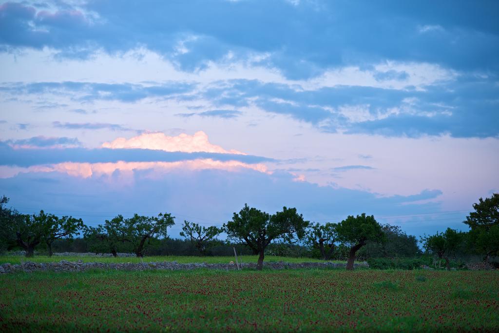 Masseria Ciavea Gioia Del Colle Zewnętrze zdjęcie